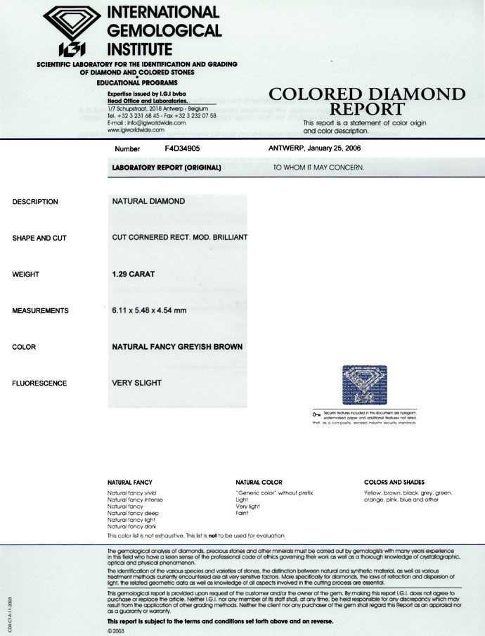 Foto 9 - 1,29ct Diamant Cornered Rectangular Fancy Gr. Brown IGI, D6679